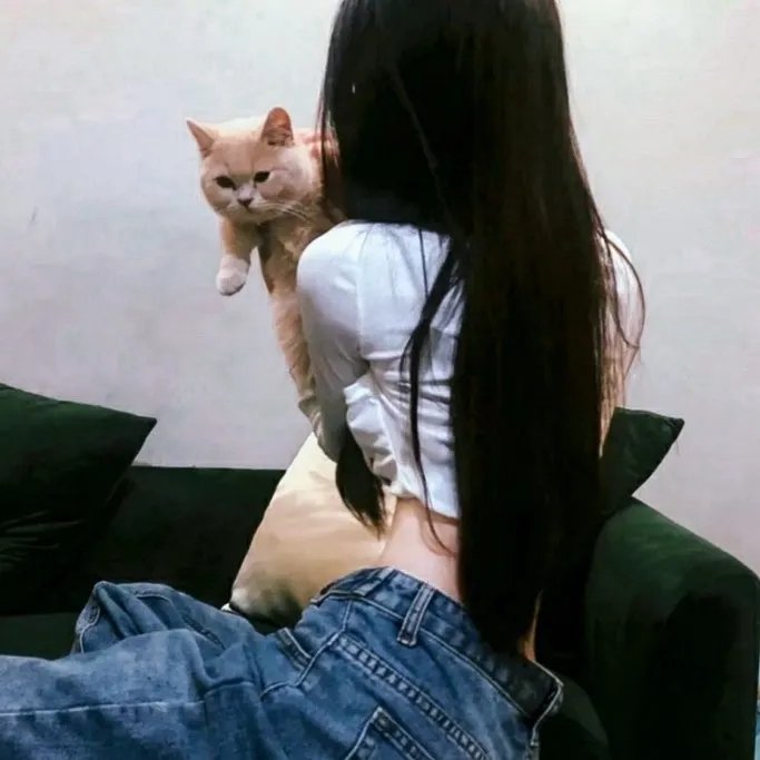 特工佳丽2:武力巾帼